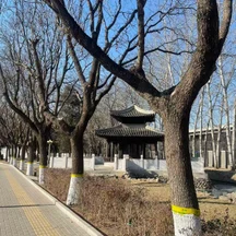 image-1-3